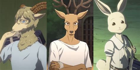 Beastars Category